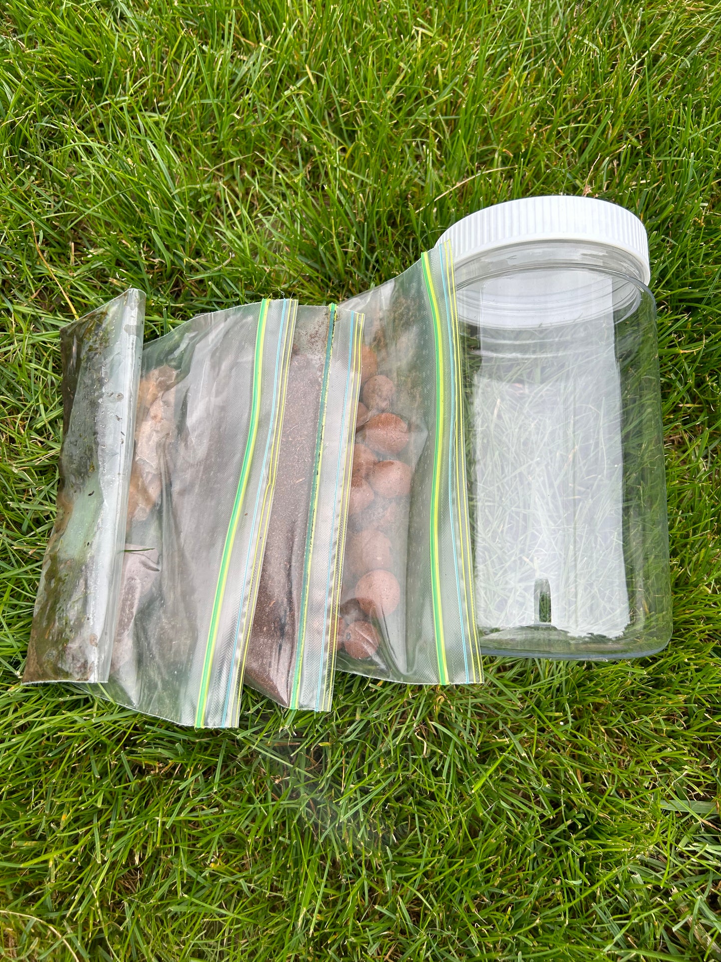 DIY Terrarium Kit In A Jar